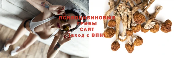 spice Беломорск