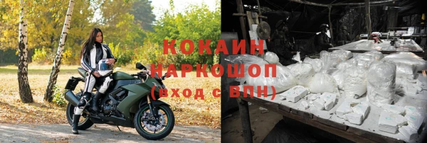спиды Богородицк